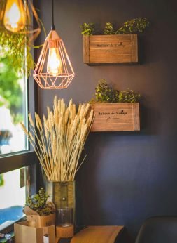 pexels-valeriya-1129413 (1)